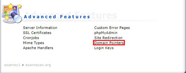domain pointer